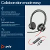 HP Poly Blackwire 8225 cuffie stereo USB-C certificate Microsoft Teams + adattatore USB-C/A