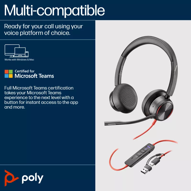 HP Poly Blackwire 8225 cuffie stereo USB-C certificate Microsoft Teams + adattatore USB-C/A