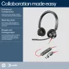 HP Poly Blackwire 3320 cuffie stereo USB-C certificate Microsoft Teams + adattatore USB-C/A