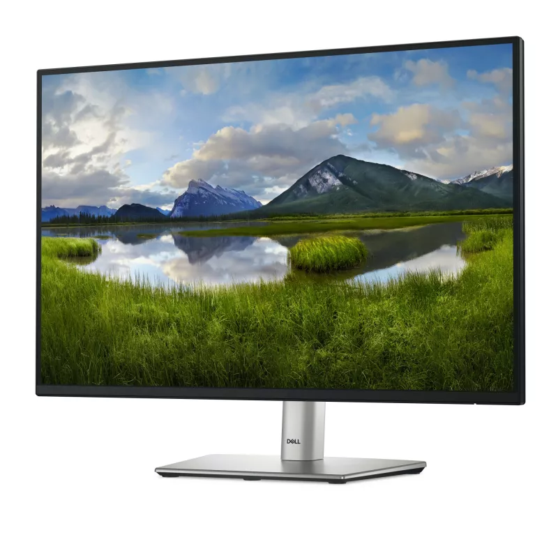 DELL Pro Plus P2425E monitor per computer 61,1 cm (24,1