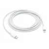 Cavo APPLE USB-C a Lightning 2 M