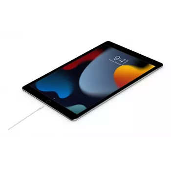 Cavo APPLE USB-C a Lightning 2 M