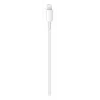 Cavo APPLE USB-C a Lightning 2 M