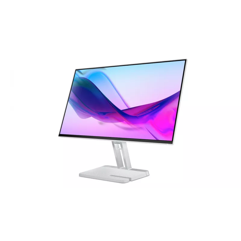 Monitor per computer Lenovo L24i-4A 60,5 cm (23,8