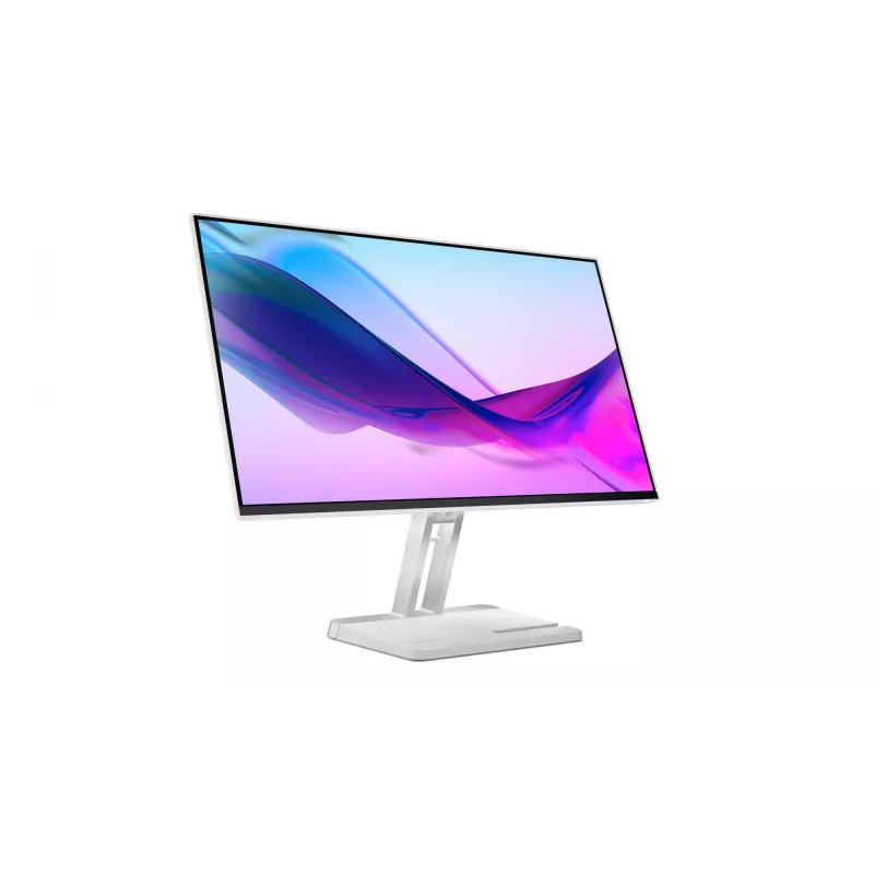Monitor per computer Lenovo L24i-4A 60,5 cm (23,8