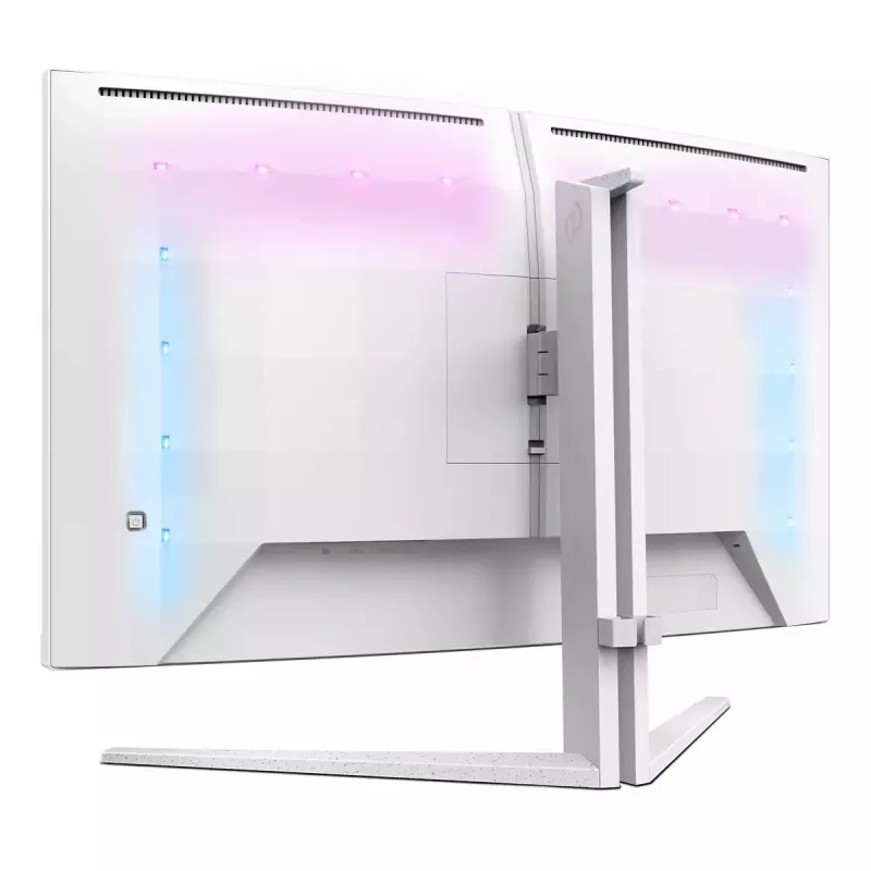Monitor per computer Philips Evnia 5000 32M2C5501/00 80 cm (31,5
