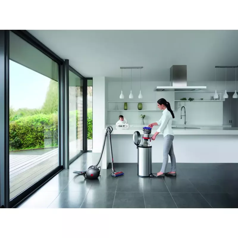 Aspirapolvere a traino Dyson Big ball Parquet 2