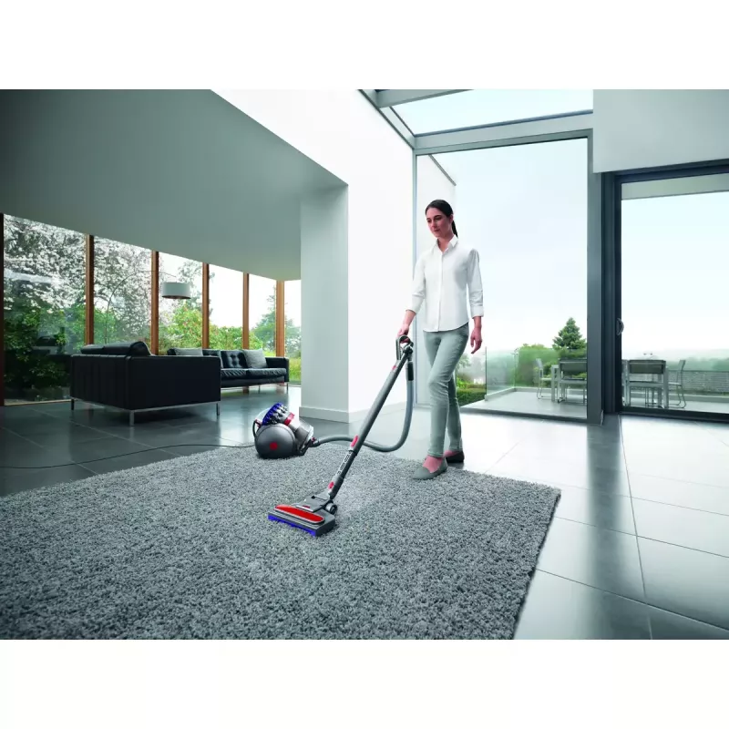 Aspirapolvere a traino Dyson Big ball Parquet 2