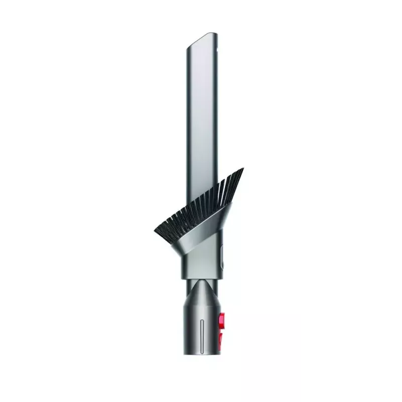 Aspirapolvere a traino Dyson Big ball Parquet 2