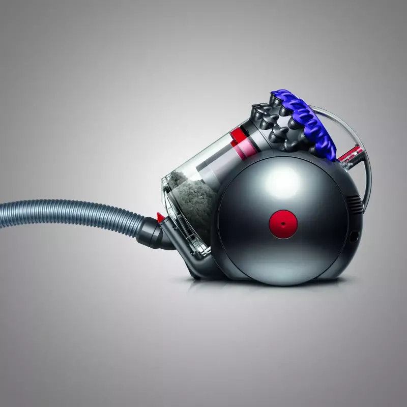 Aspirapolvere a traino Dyson Big ball Parquet 2