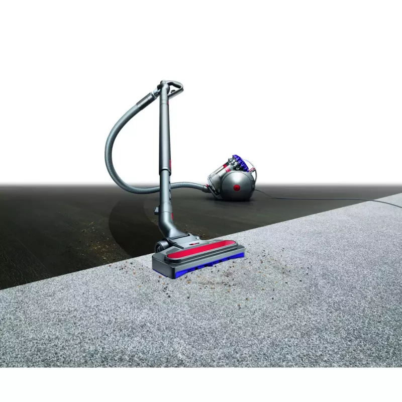 Aspirapolvere a traino Dyson Big ball Parquet 2
