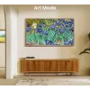 Hisense TV Canvas S7NQTUK da 55