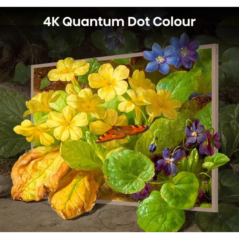 Hisense TV Canvas S7NQTUK da 55