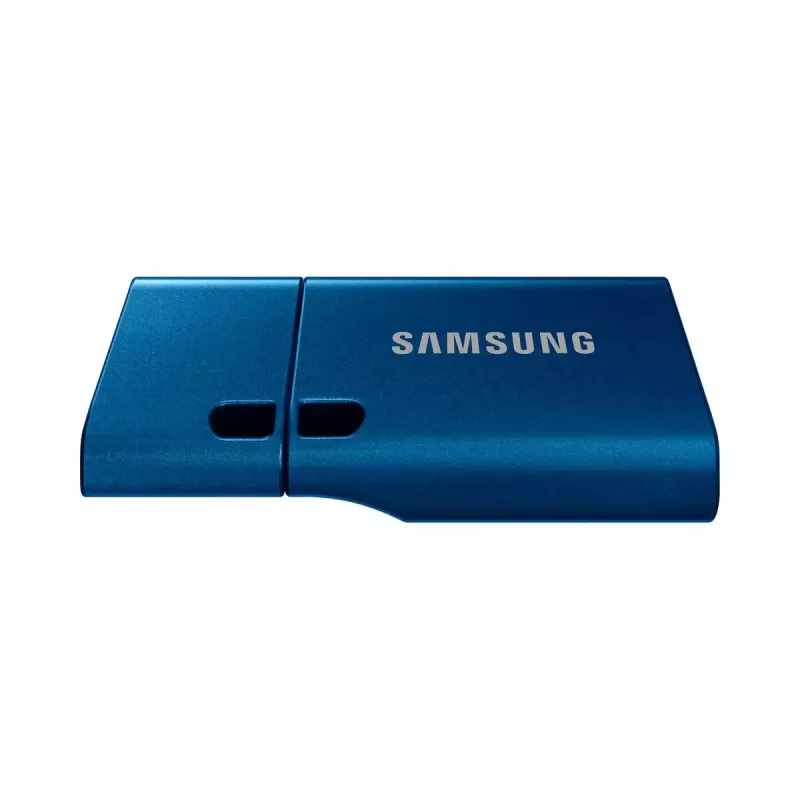 Samsung MUF-256DA chiavetta USB 256 GB USB Type-C 3.2 Gen 1 (3.1 Gen 1) blu