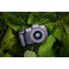 Canon EOS R8, 24,2 MP, 6000 x 4000 pixel, CMOS, 4K Ultra HD, touchscreen, nero