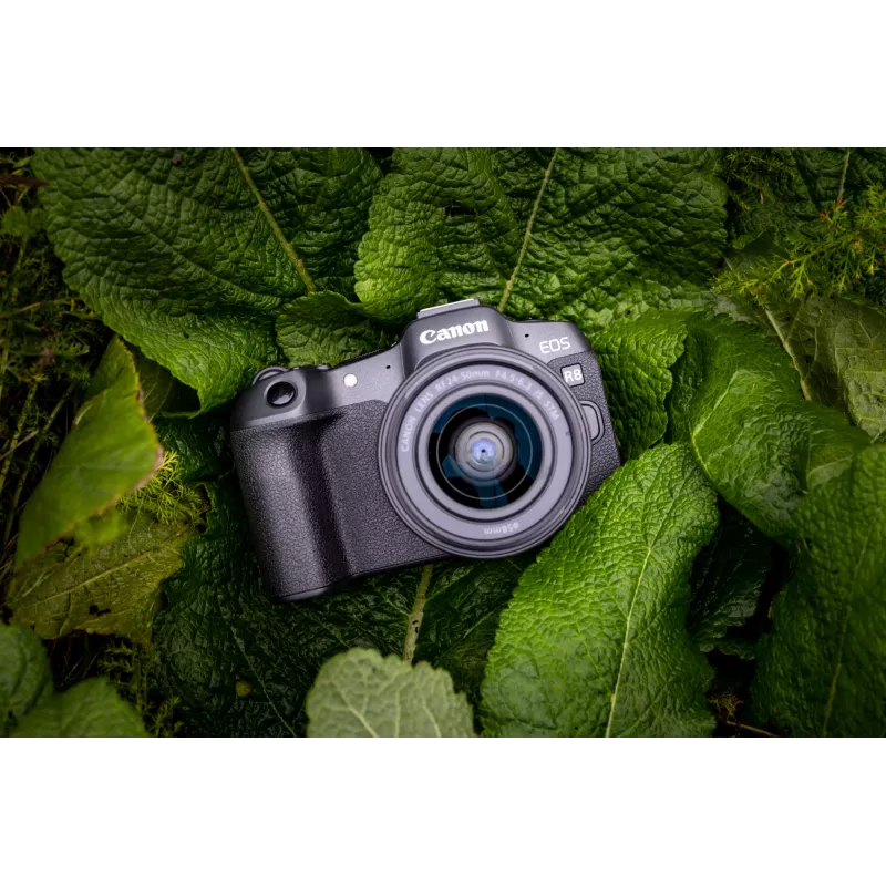 Canon EOS R8, 24,2 MP, 6000 x 4000 pixel, CMOS, 4K Ultra HD, touchscreen, nero