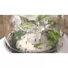 Frullatore da tavolo Philips 5000 Serie Eco Conscious Edition HR2500/00