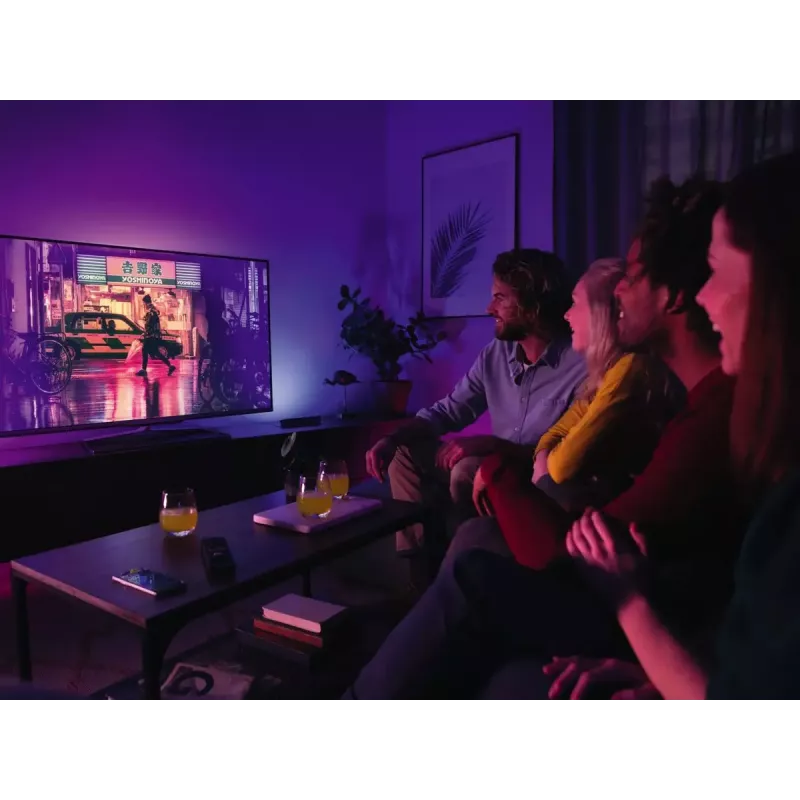 Philips Hue White and Colour Ambience Play Light Bar confezione doppia