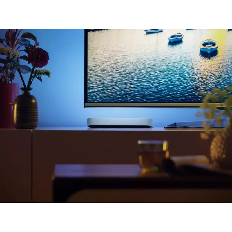 Philips Hue White and Colour Ambience Play Light Bar confezione doppia
