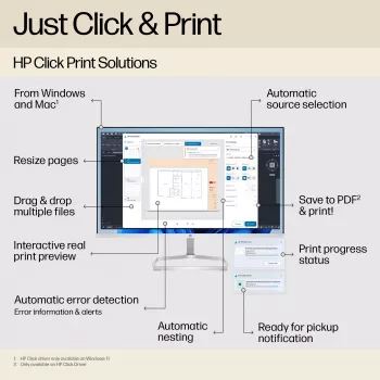 HP Designjet T250 stampante 24