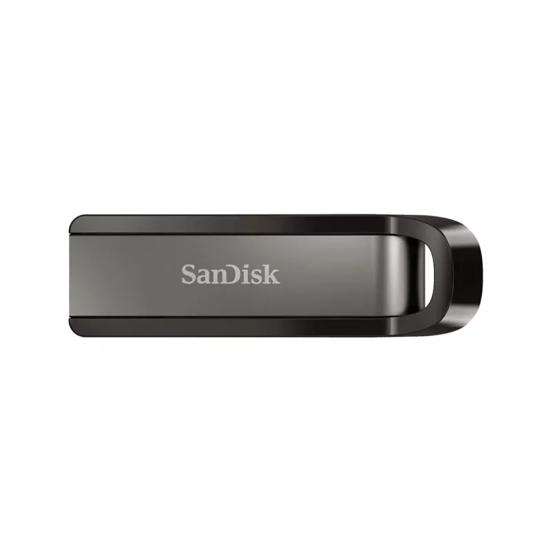 WESTERN DIGITAL SanDisk Ultra Extreme GO - 256GB chiavetta USB - USB 3.2