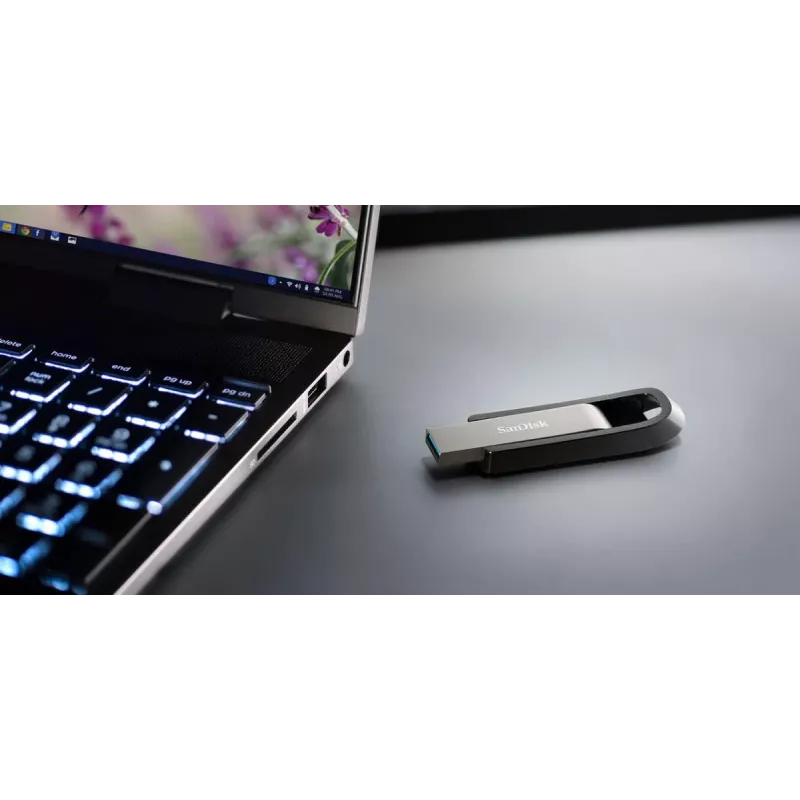 WESTERN DIGITAL SanDisk Ultra Extreme GO - 256GB chiavetta USB - USB 3.2