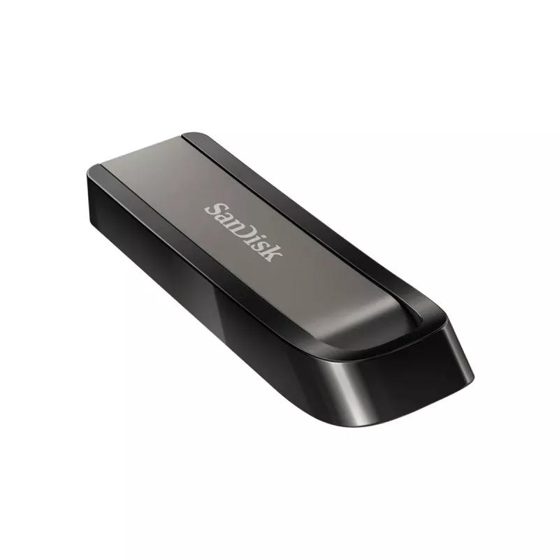 WESTERN DIGITAL SanDisk Ultra Extreme GO - 256GB chiavetta USB - USB 3.2