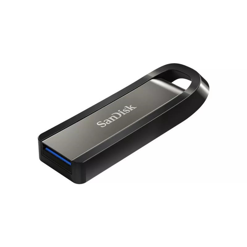 WESTERN DIGITAL SanDisk Ultra Extreme GO - 256GB chiavetta USB - USB 3.2