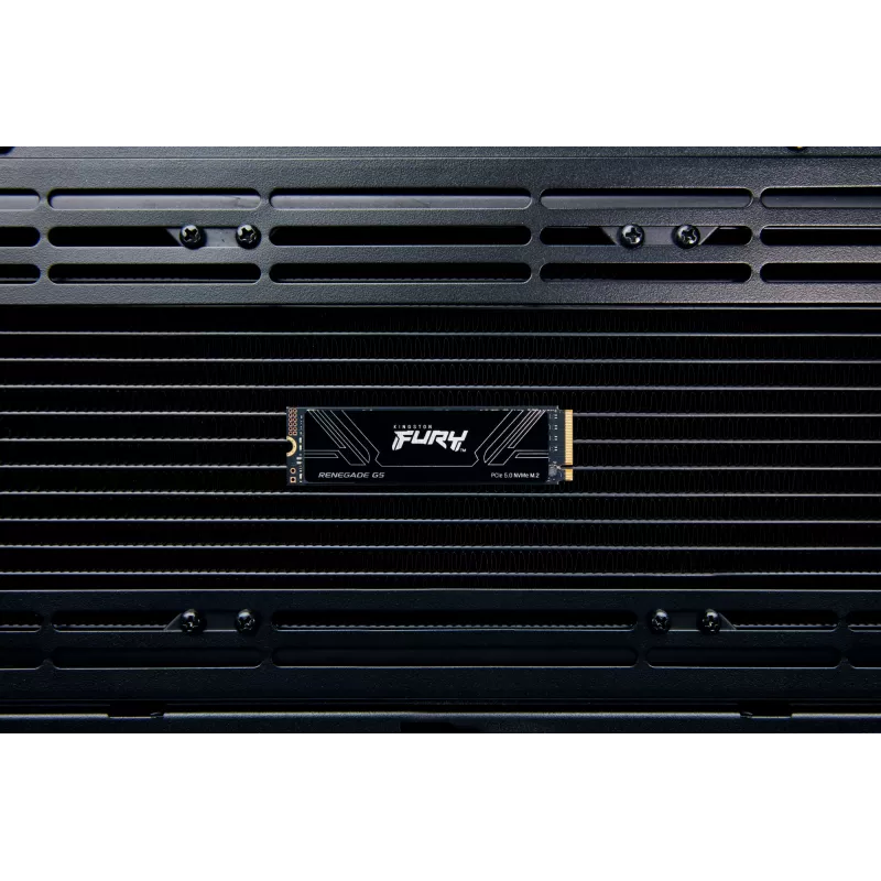 SSD Kingston Technology 4 TB M.2 2280 NVMe FURY RENEGADE G5