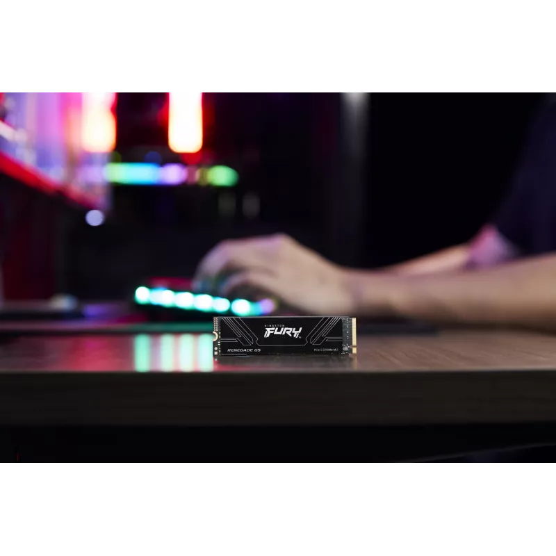 SSD Kingston Technology 4 TB M.2 2280 NVMe FURY RENEGADE G5