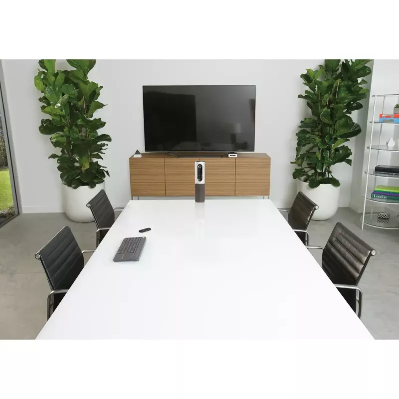 LOGITECH Conferencecam Connect videoconferenza all-in-one argento