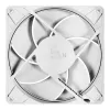 ARCTIC P14 Pro PST (bianco) ventola PWM 140 mm con sdoppiatore