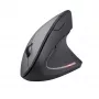 Trust Verto mouse ufficio destrorso RF wireless ottico 1600 DPI