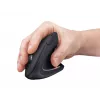 Trust Verto mouse ufficio destrorso RF wireless ottico 1600 DPI