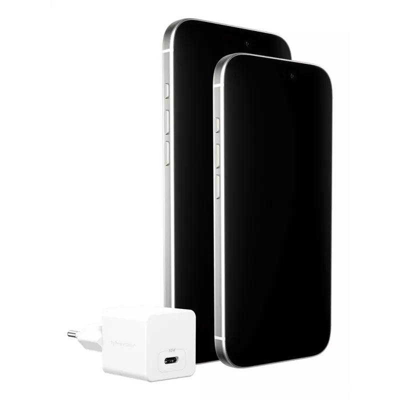 PanzerGlass empower™ by ® Turbo Caricabatterie 30W Singolo USB-C | Spina EU | Argento Bianco