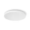 Philips Hue White and colour ambience Datura plafoniera grande