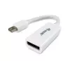 Equip adattatore Mini DisplayPort a DisplayPort 133440