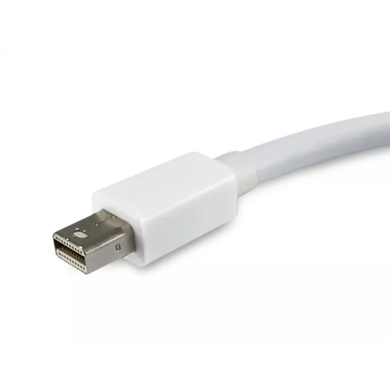 Equip adattatore Mini DisplayPort a DisplayPort 133440