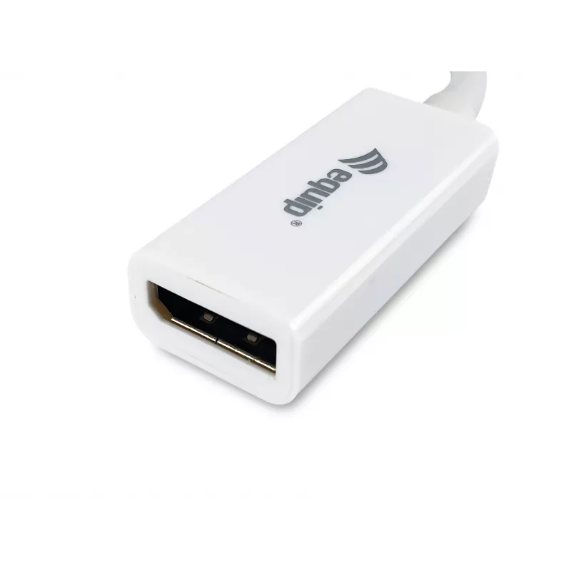 Equip adattatore Mini DisplayPort a DisplayPort 133440