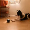 Robot di sorveglianza Enabot EBO AIR 2 – telecamera domestica mobile, rosa