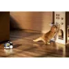 Telecamera di sorveglianza Enabot Family Robot IP camera ROLA PetPal WH287304