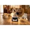 Telecamera di sorveglianza Enabot Family Robot IP camera ROLA PetPal WH287304