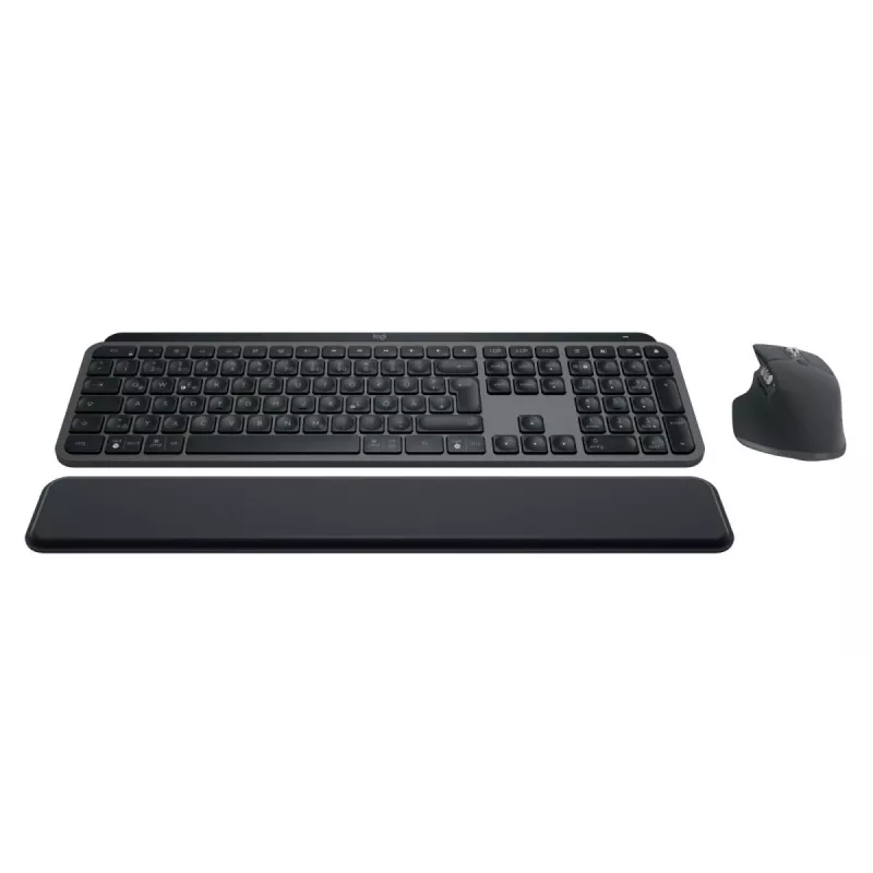 LOGITECH MX Keys Combo For Business Gen 2 - grafite - Qwertz - tedesco