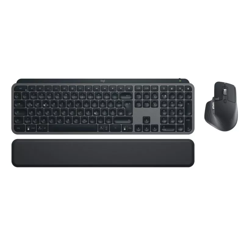 LOGITECH MX Keys Combo For Business Gen 2 - grafite - Qwertz - tedesco