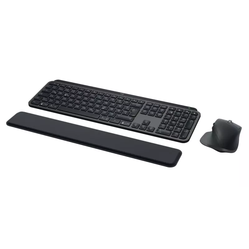 LOGITECH MX Keys Combo For Business Gen 2 - grafite - Qwertz - tedesco