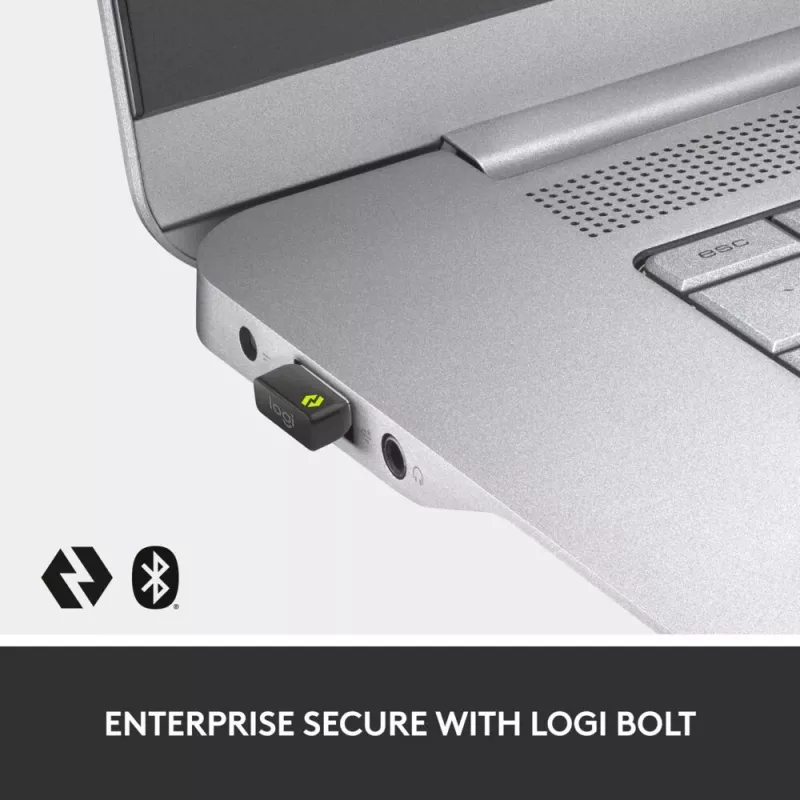 LOGITECH MX Keys Combo For Business Gen 2 - grafite - Qwertz - tedesco