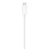 APPLE Magsafe Charger cavo USB-c 1m