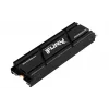Kingston Technology 2000G RENEGADE PCIe 4.0 NVMe SSD con dissipatore