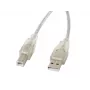 Cavo USB LANBERG USB 2.0 USB B – 3 m trasparente