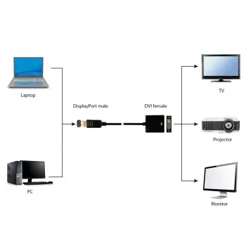 Cavo adattatore GEMBIRD DisplayPort a DVI – nero